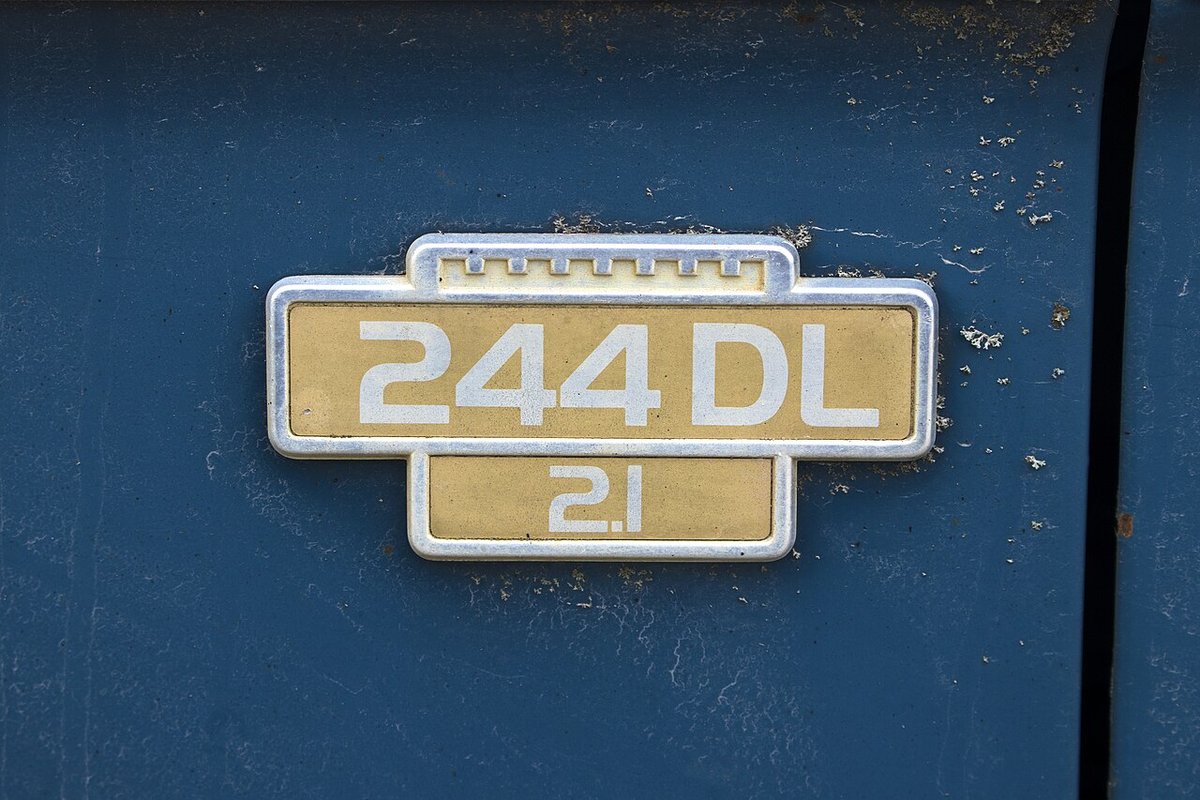 Gallery image 6